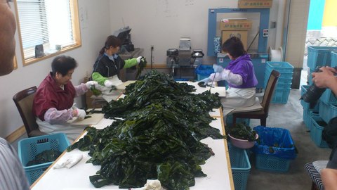 f0121909_1014147.jpg