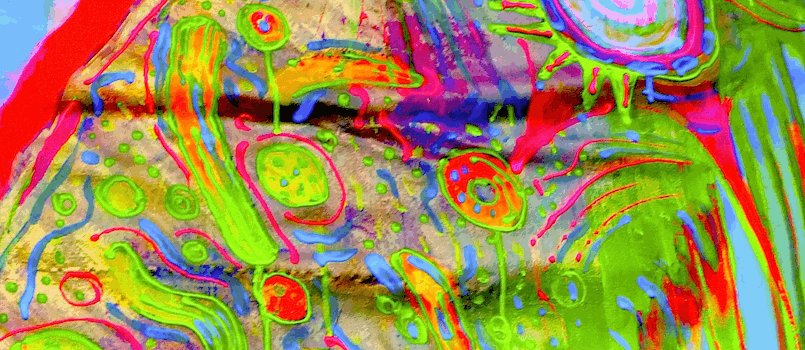 a0240510_19572352.gif