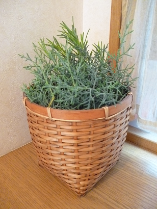 f0008510_9311567.png