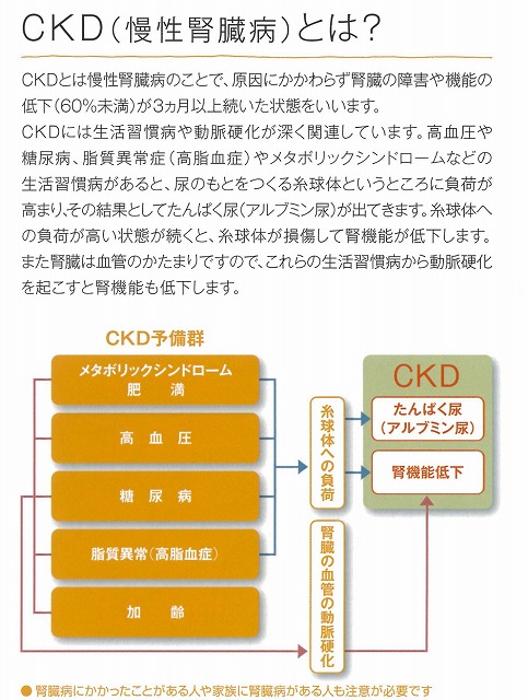 新たな国民病「CKD=慢性腎臓病」って知ってましたか?_f0141310_7342960.jpg