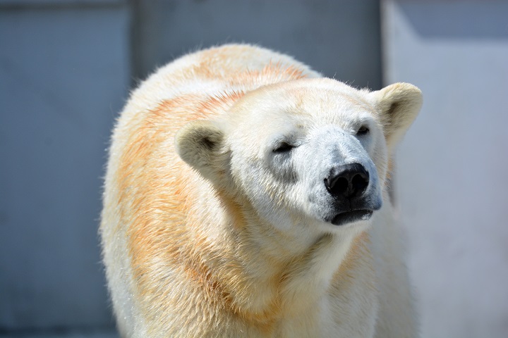 a0151913_5164123.jpg