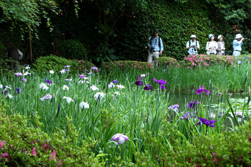 平安神宮 庭園開放_e0048413_20101570.jpg