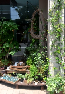 人と植物の環(わ)_d0263815_13573910.jpg