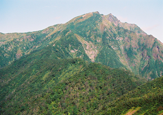 a0113718_21474156.jpg