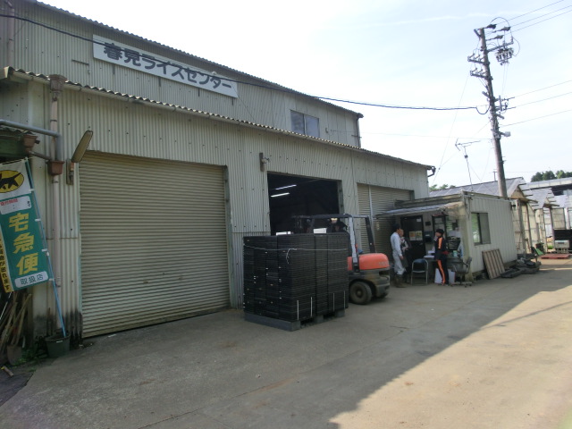 第35回 田植えするならいつ? 今でしょ!_d0237121_2228258.jpg