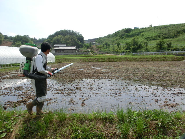 第35回 田植えするならいつ? 今でしょ!_d0237121_22324495.jpg