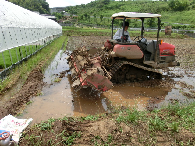 第35回 田植えするならいつ? 今でしょ!_d0237121_2234296.jpg