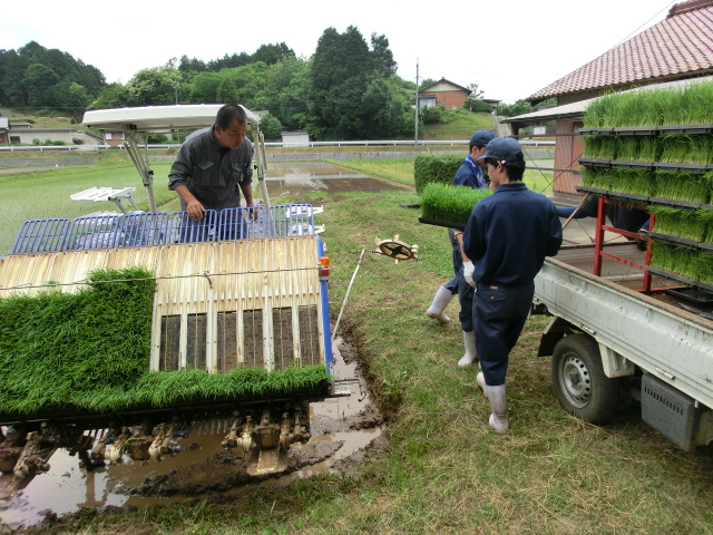 第35回 田植えするならいつ? 今でしょ!_d0237121_22402036.jpg