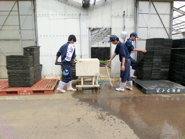 第35回 田植えするならいつ? 今でしょ!_d0237121_2245211.jpg
