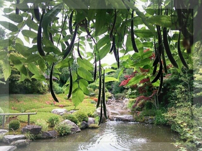 お抹茶をいただきに［ 妙心寺退蔵院］_d0277422_22443282.jpg