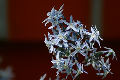 f0170524_9384282.jpg