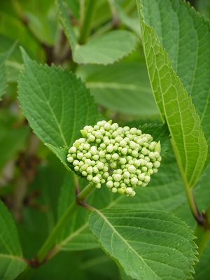 子午線の街 明石_c0235725_6395021.jpg