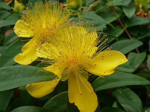 c0009528_21333936.jpg