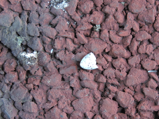 f0171028_19545266.jpg