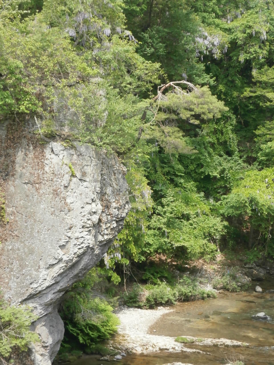 群馬・新緑を求めて・・・!_a0214329_1713305.jpg