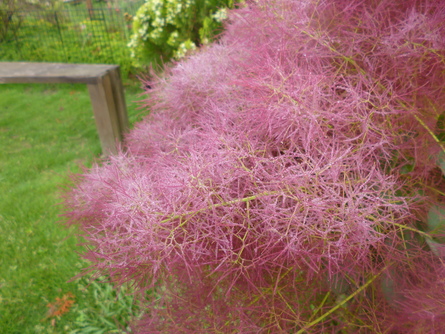 e0001531_215926.jpg