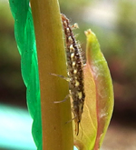 f0108133_0202494.jpg
