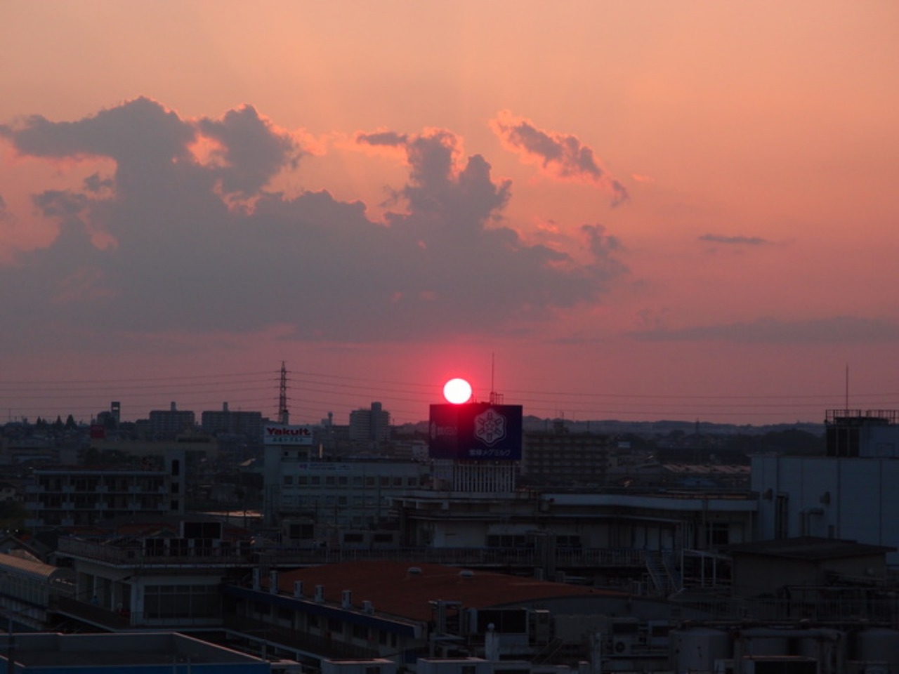 風と花の街　　　　１９時夕暮れパートⅡ_e0093336_2113793.jpg