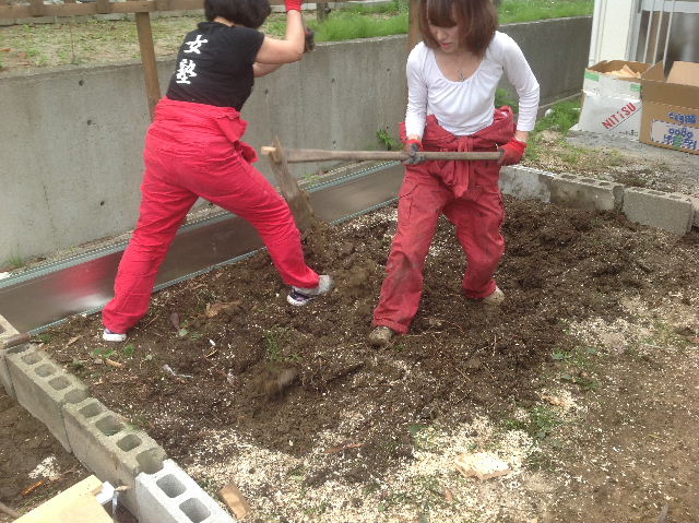 秒読み段階 家庭菜園と庭と諸々_f0031037_2024044.jpg