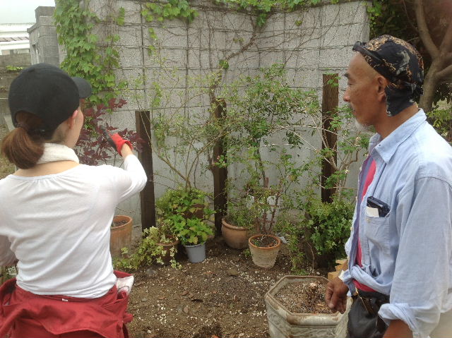 秒読み段階 家庭菜園と庭と諸々_f0031037_20275362.jpg