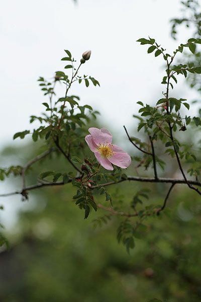 f0271343_824933.jpg
