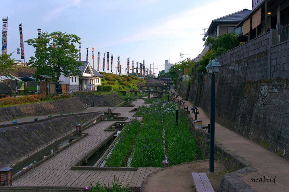 d0238245_1231387.jpg