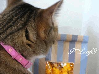 c0176651_17233014.gif