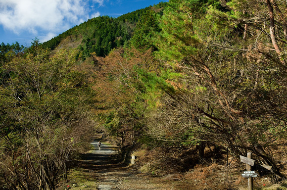 秋の表丹沢縦走(塔ノ岳)_c0257955_17181618.jpg