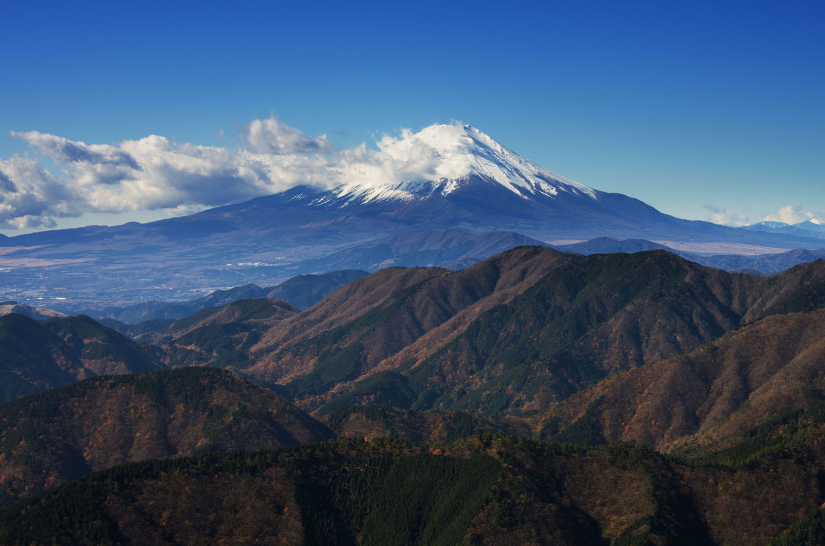 秋の表丹沢縦走（塔ノ岳）_c0257955_17201649.jpg