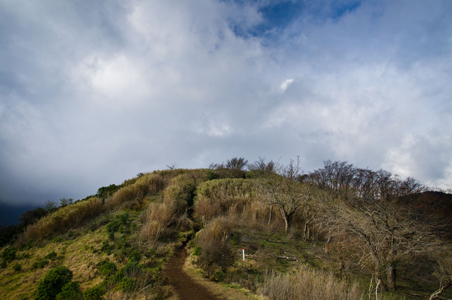 秋の表丹沢縦走(塔ノ岳)_c0257955_17215921.jpg