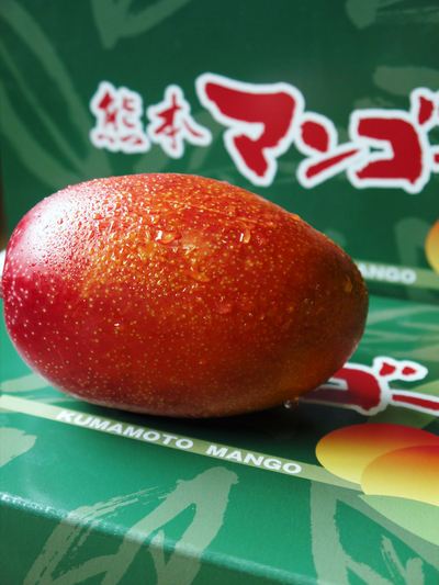 樹上完熟アップルマンゴー 香り高くとろける食感!その名も「煌(きらめき)」予約販売受付スタート!!_a0254656_18265976.jpg