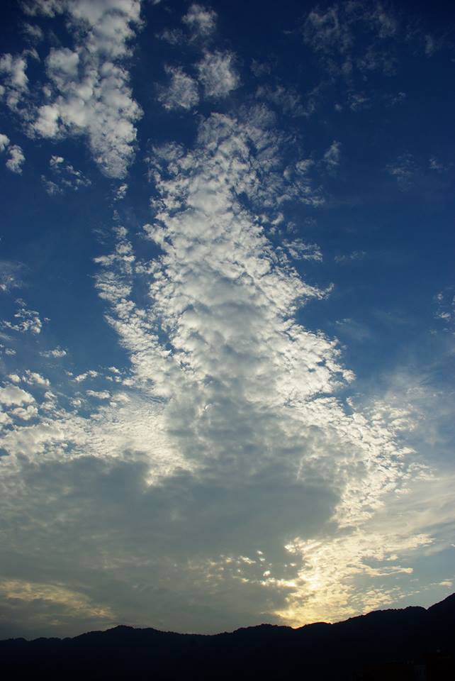 e0142357_21257.jpg