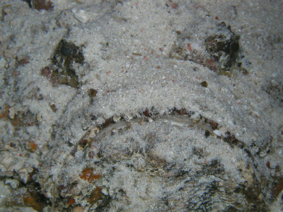 c0180460_6304216.jpg