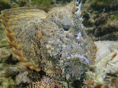 c0180460_6311537.jpg