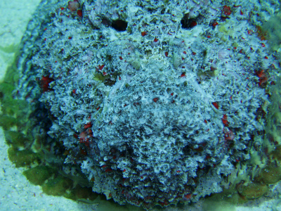 c0180460_6323720.jpg