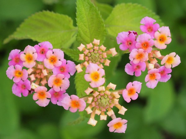 b0135573_2385536.jpg