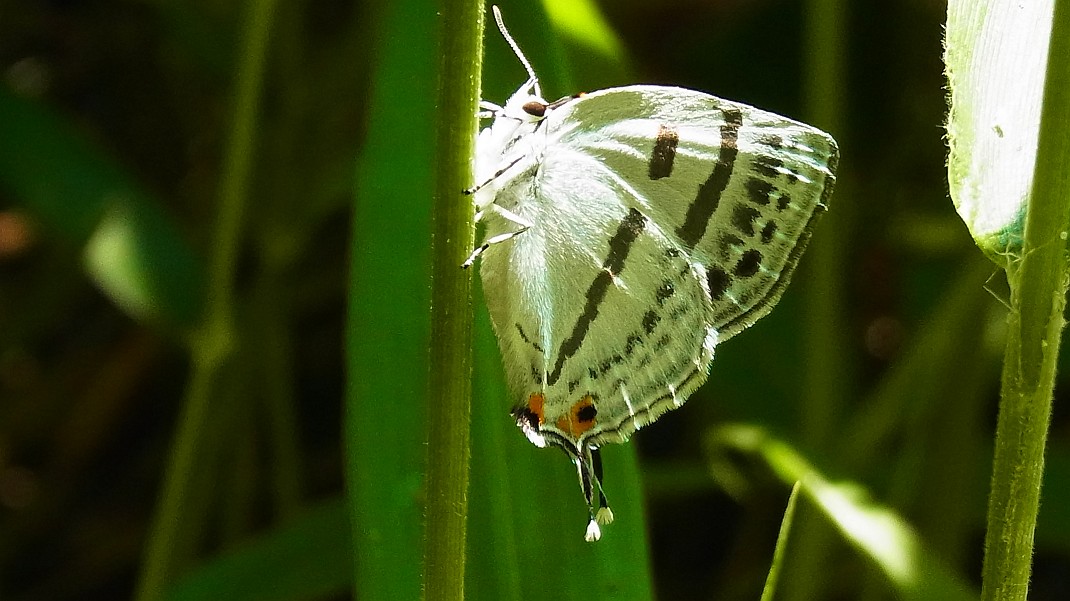 a0152692_19434930.jpg