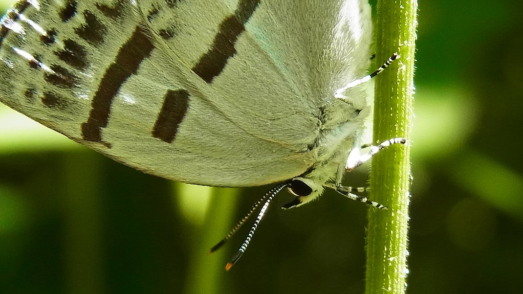 a0152692_20452467.jpg