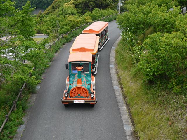b0190092_217955.jpg