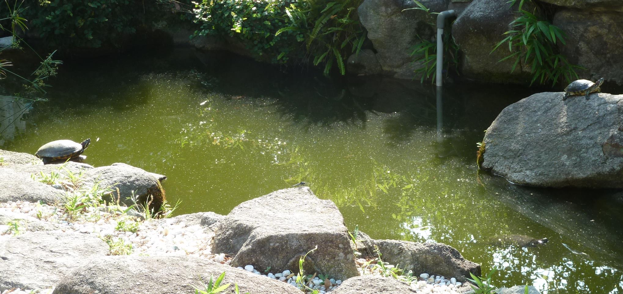 f0166694_1913089.jpg