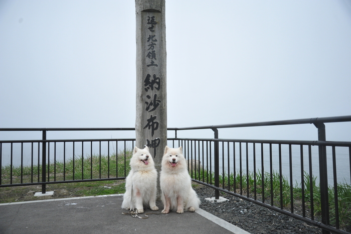 北海道旅行記　part3_a0049296_2142078.jpg