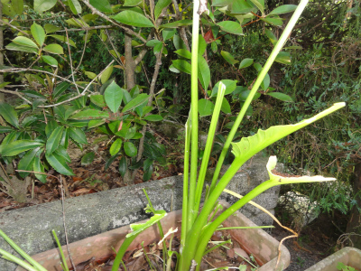 c0125501_9471972.jpg