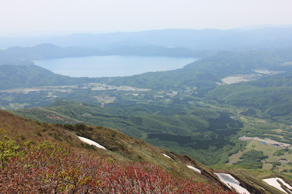 d0229501_2021330.jpg