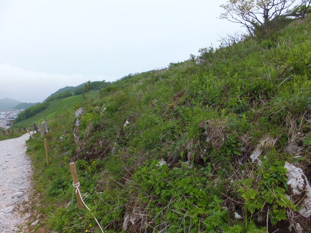 a0271502_2147974.jpg