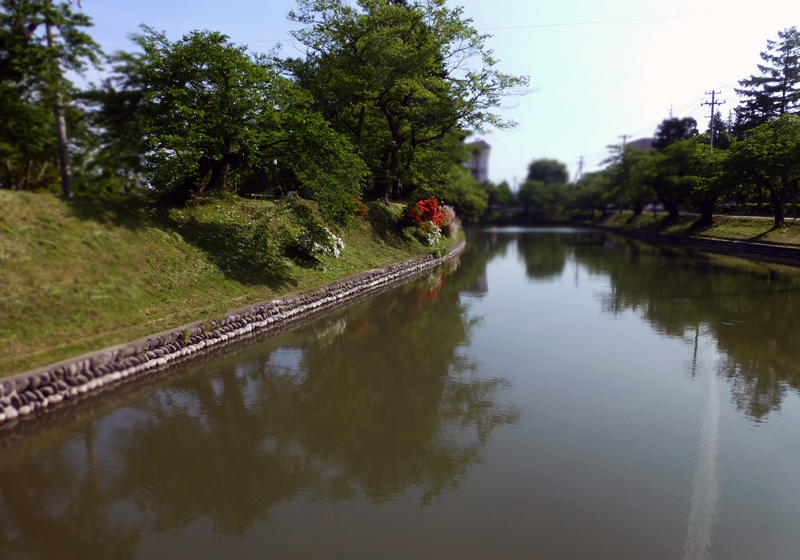 山形のタナゴを釣りに行く_c0120913_16283970.jpg