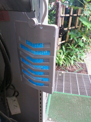 e0058913_12394529.jpg