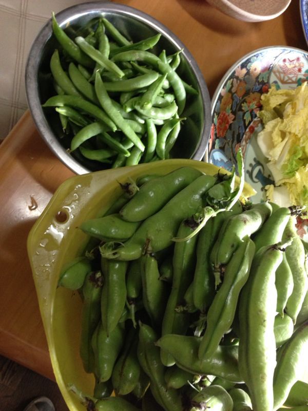 ご朝食のオーガニックお野菜_c0110115_17333173.jpg