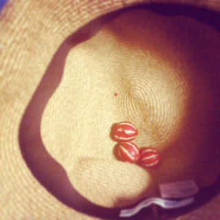 いづみさん (2)2013/6/6 _a0026616_2020555.jpg