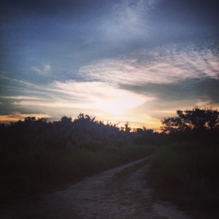 いづみさん (2)2013/6/6 _a0026616_2021383.jpg