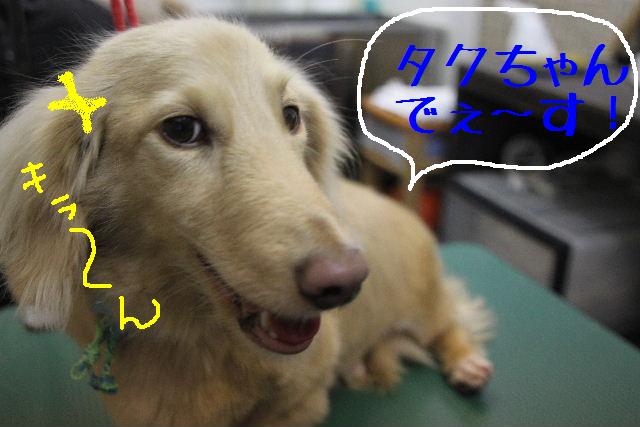 沖縄ぁ～～～♪_b0130018_1139551.jpg